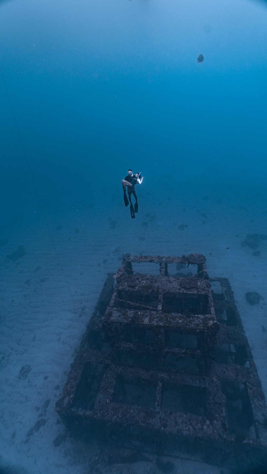兩位潛水員懸浮在綠島鋼鐵礁上方的藍水中